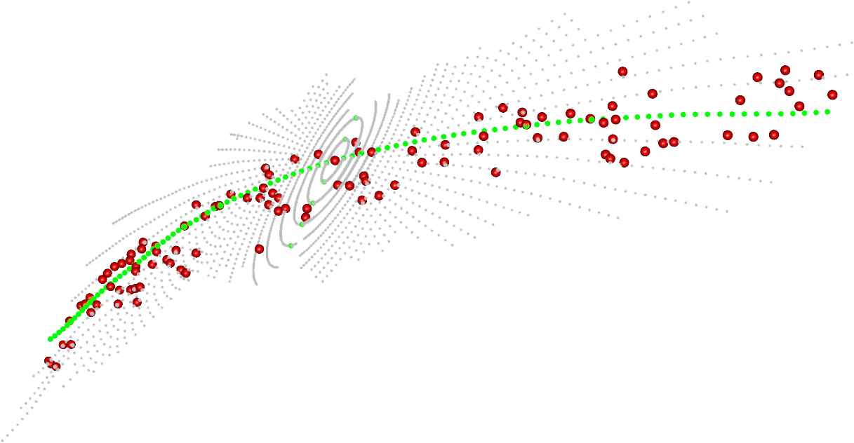 Principal Submanifolds