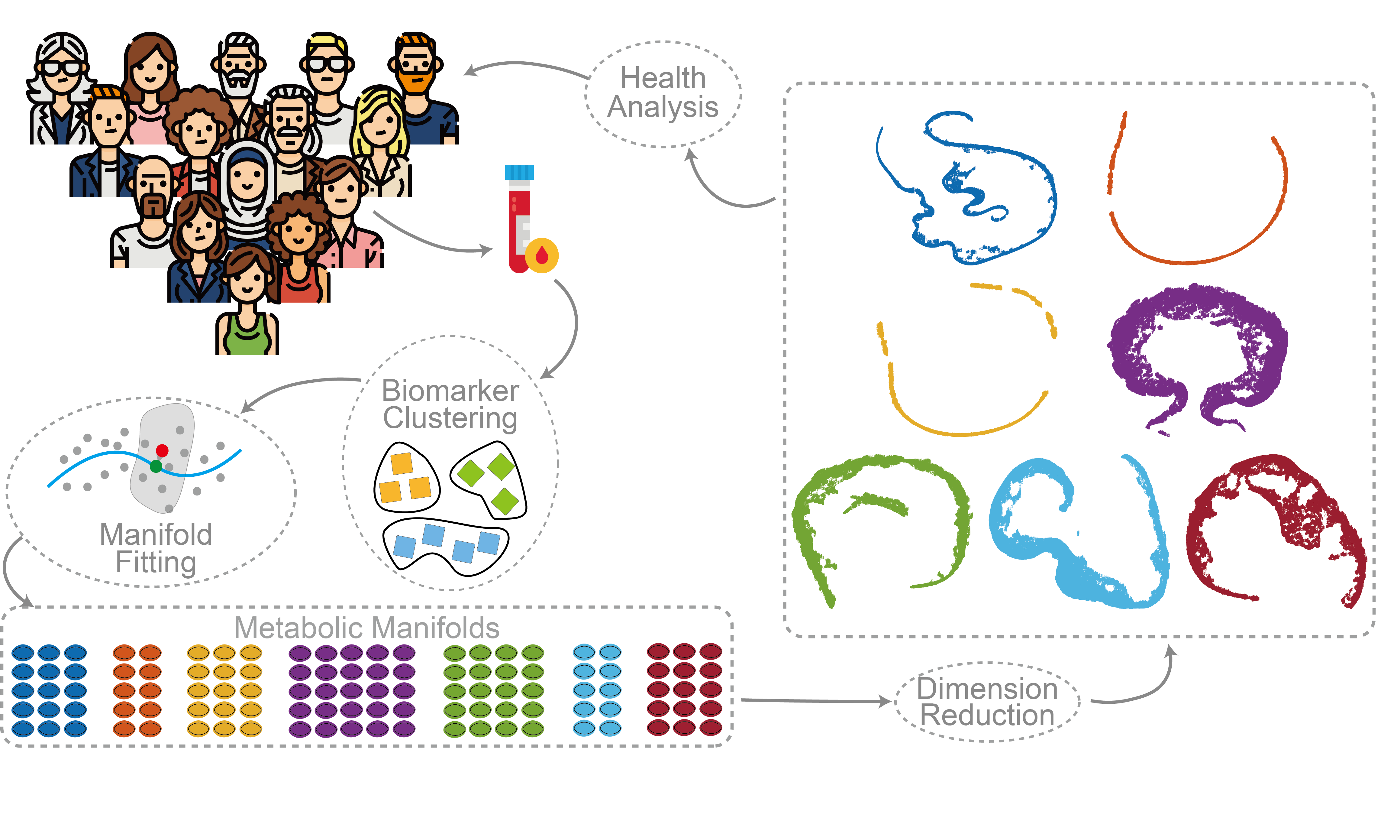 Metabolic Biomarkers