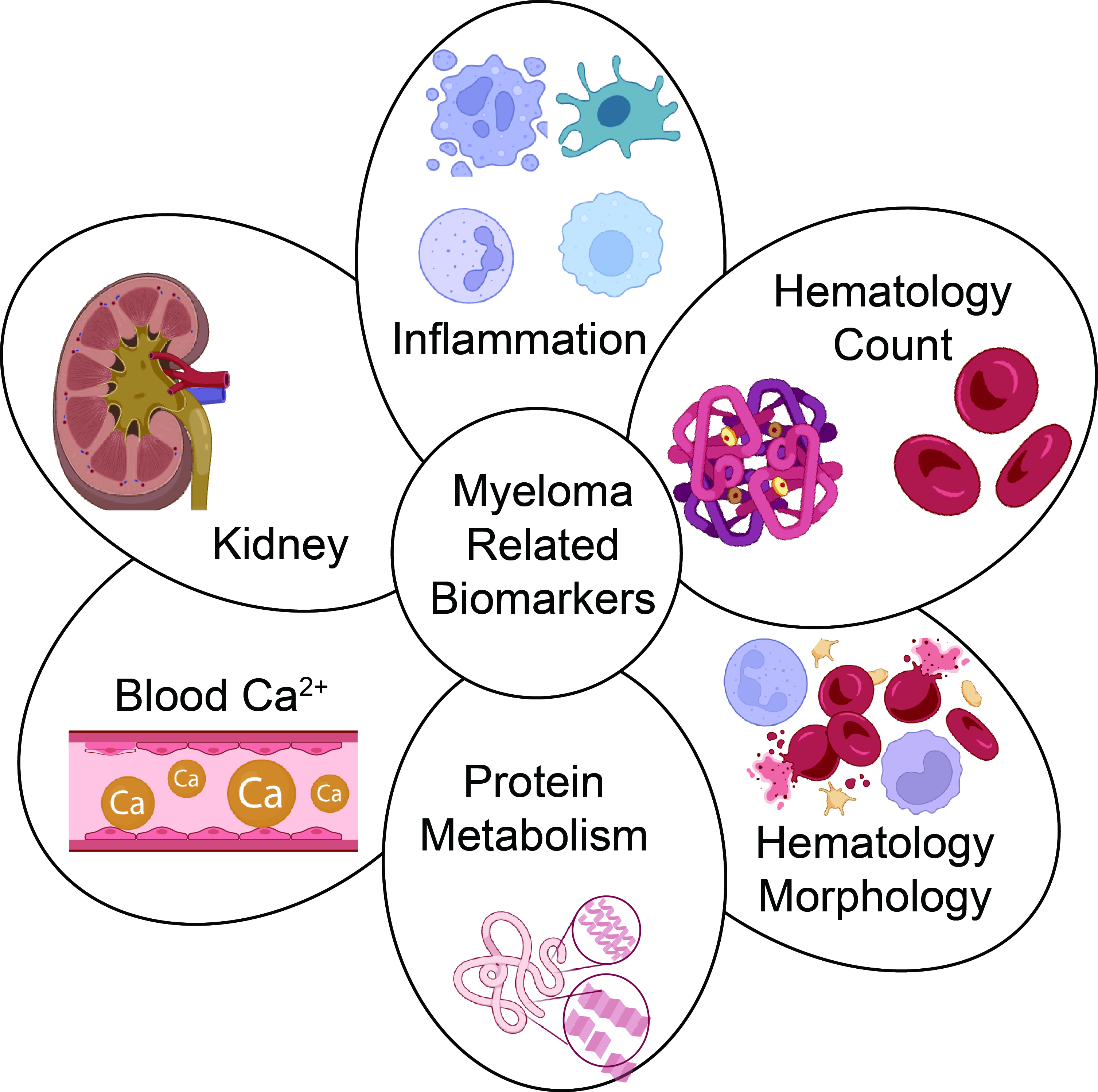 Multiple Myeloma